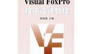 VisualFoxpro常用的数据类型有哪些 visualfoxpro6.0简体中文版